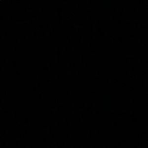 Meet your Posher, Wade